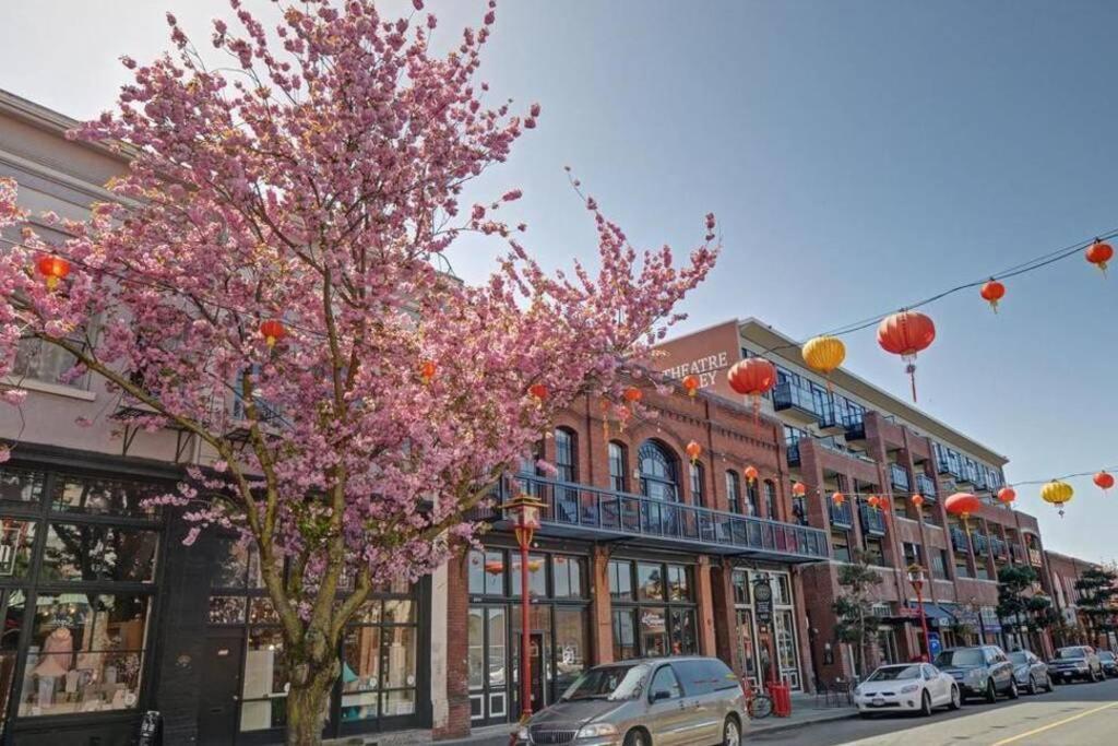 Clean 3Rd Floor Executive 1 Bedroom Apt In Old Town China Town Victoria Eksteriør bilde